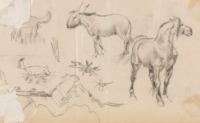 Sketches Of A Horse And Donkey