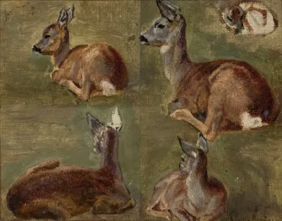 Sketches Of Fawns