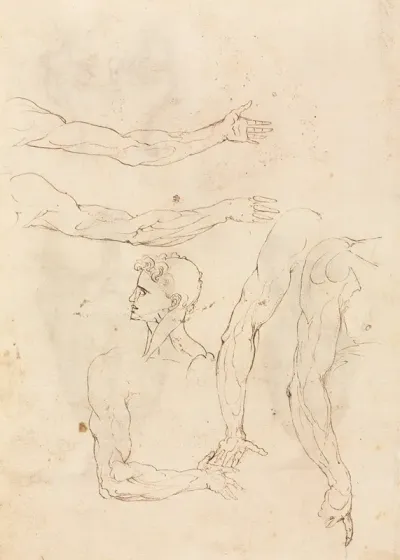 Sketches Of Five Arms And A Head Verso