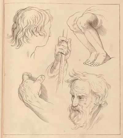 Sketches Of Hands Heads And Legs