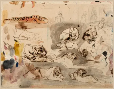 Sketches Of Tigers And Men In 16th Century Costume