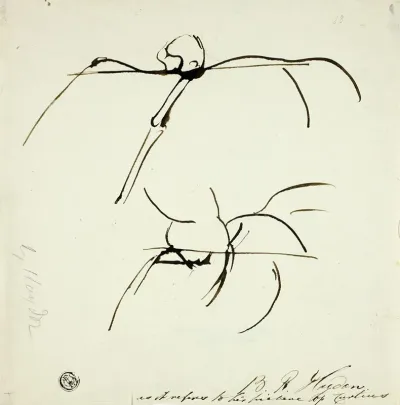 Sketches Related To Painting Of Marcus Curtis