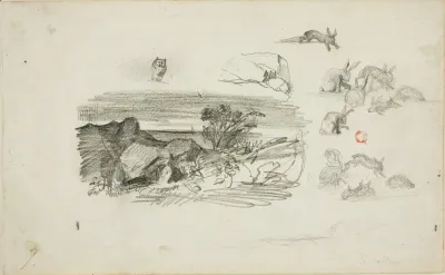 Sketches Rocky Setting And Rabbits