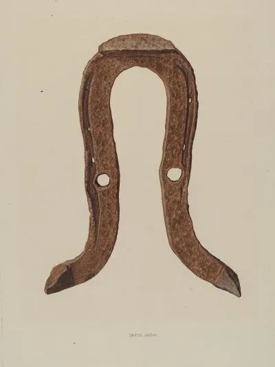 Skid Shoe For Horse