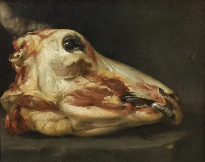 Skinned Head Of An Ox