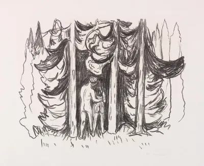 Skogen Der Wald