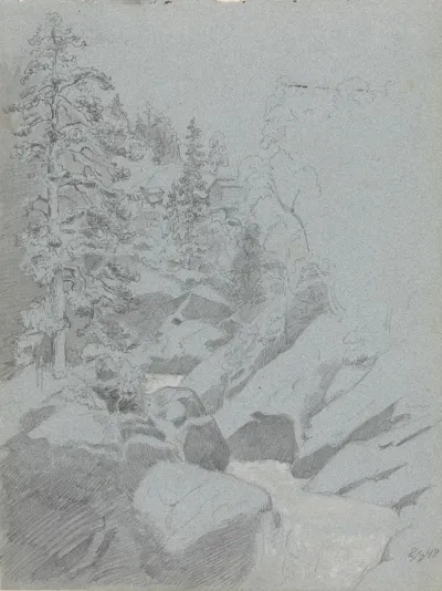 Skoginterior Med Foss Og Hus