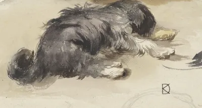 Slapende Hond Van Achteren Gezien