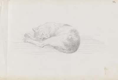 Sleeping Cat