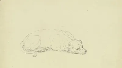 Sleeping Dog 2