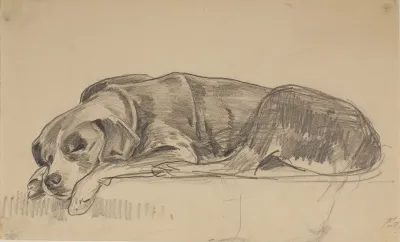Sleeping Dog 5