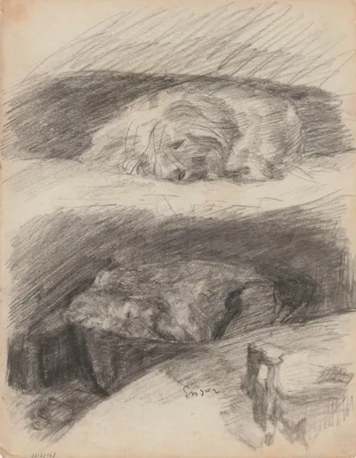 Sleeping Dogs