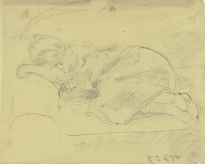 Sleeping Girl 9