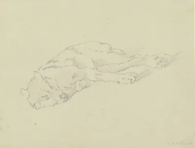 Sleeping Wolf