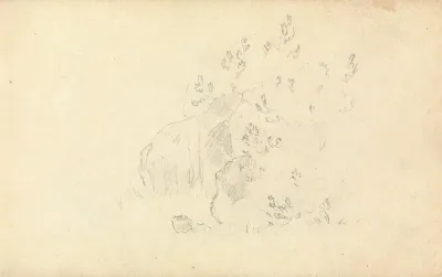Slight Sketch Of Rocks And Leaves