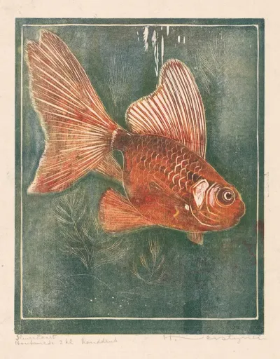 Sluierstaart