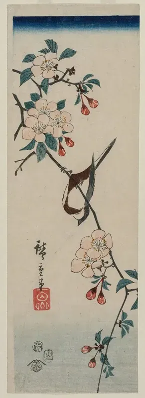Small Bird Swallow On Cherry Branch