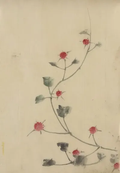 Small Red Blossoms On A Vine