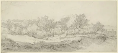 Small Section Of A Tree With A Fence
