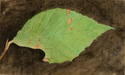 Smaller Spotted Beach Leaf Edge Caterpillar 2