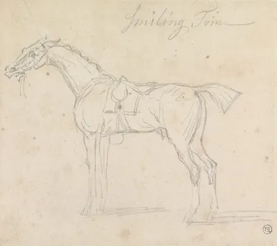 Smiling Tom Saddled And Bridled Standing Facing Left