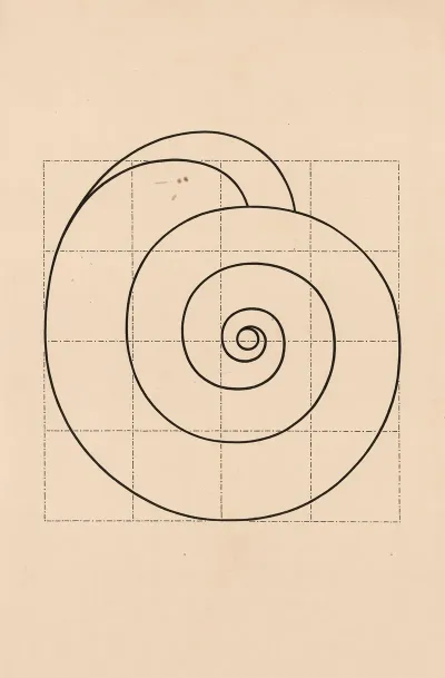 Snail Shell