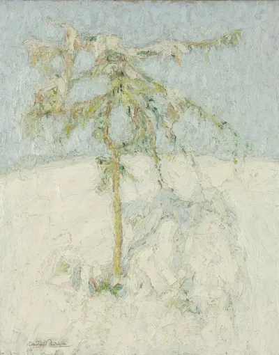 Sneeuwlandschap In De Ardennen