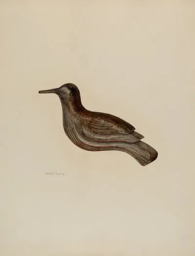 Snipe