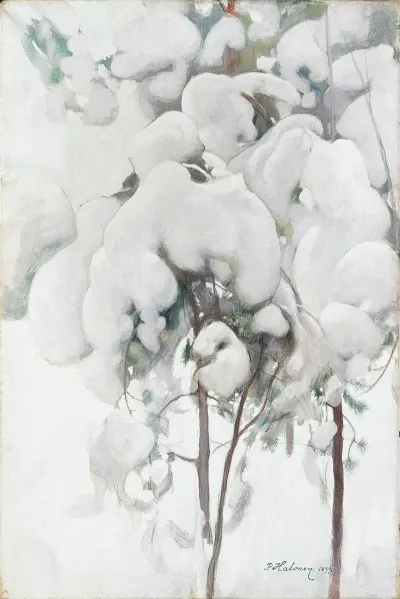 Snow Covered Pine Saplings