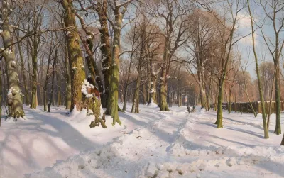 Snowy Forest Path In Sunlight