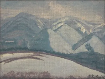 Snowy Mountains