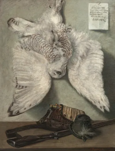 Snowy Owl