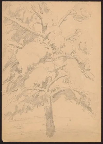 Snowy Tree