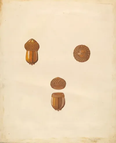 Snuff Box 8