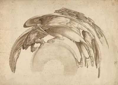 Soldier On Horseback In Catoptric Anamorphosis After Hendrick Goltzius