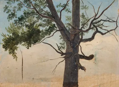 Solitary Tree