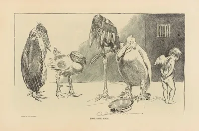 Some Rare Birds 2
