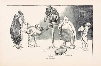 Some Rare Birds