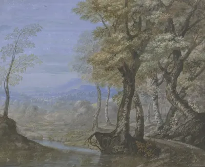 Sommerlandschaft Mit Durchblick Durch Einen Buchenwald