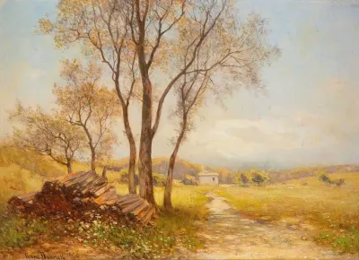 Sommerlandschaft