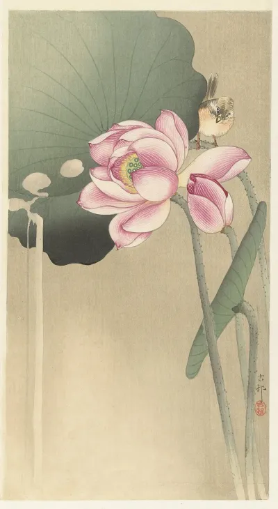 Songbird And Lotus