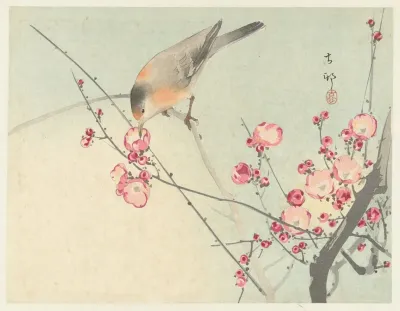 Songbird On Blossom Branch
