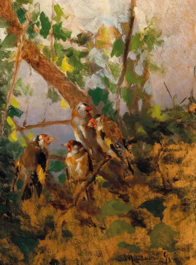 Songbirds