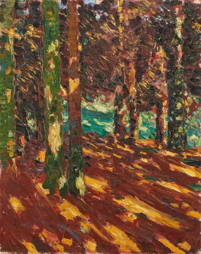 Sonnenflecken Im Tannenwald