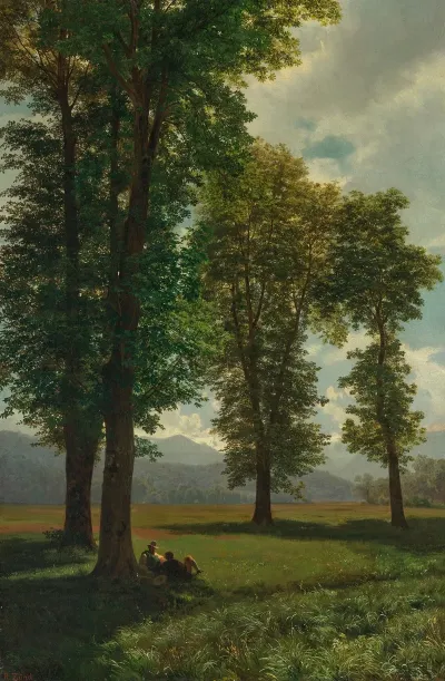 Sonnige Au Sunny Meadow
