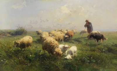 Sonnige Weide