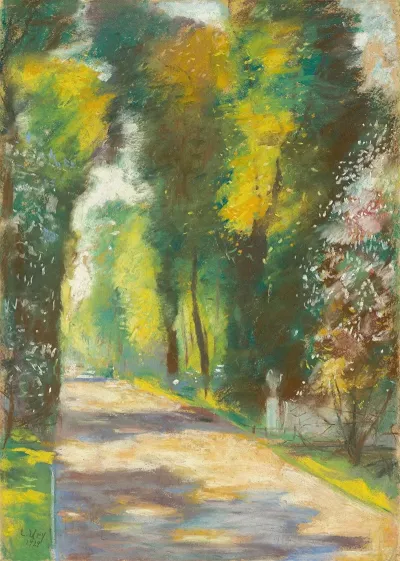 Sonniger Parkweg