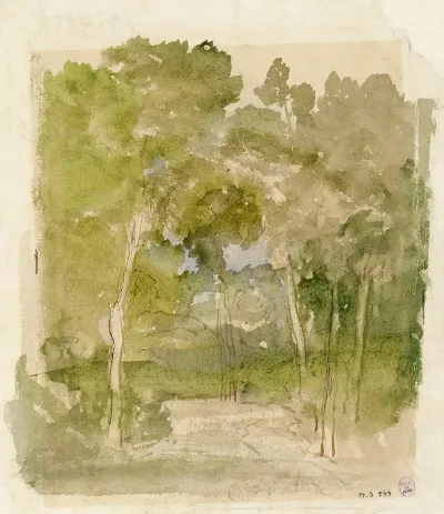 Sous Bois 2