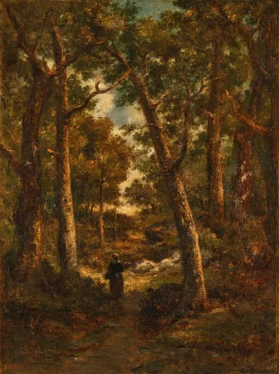 Sous Bois Fagotiere De Dos