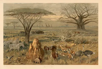 South African Steppe